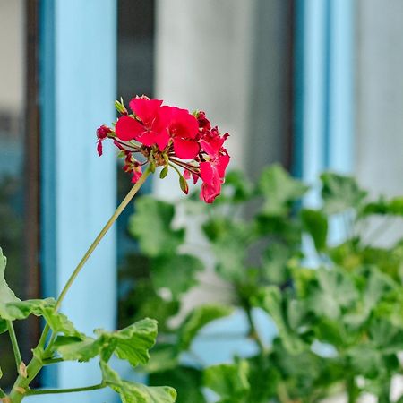 Hotel Casa Blanca Puerto Baquerizo Moreno Ngoại thất bức ảnh